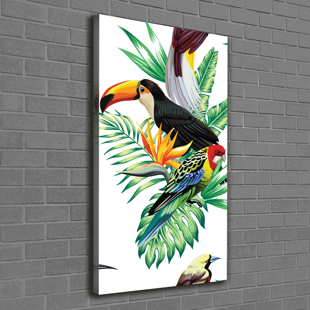 Tableau sur toile Oiseaux tropicaux