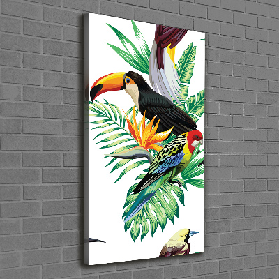 Tableau sur toile Oiseaux tropicaux