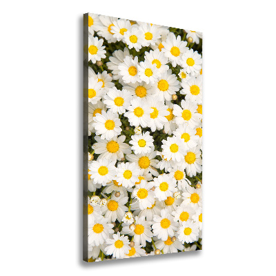 Tableau imprimé sur toile Fleurs de marguerite