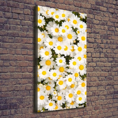 Tableau imprimé sur toile Fleurs de marguerite