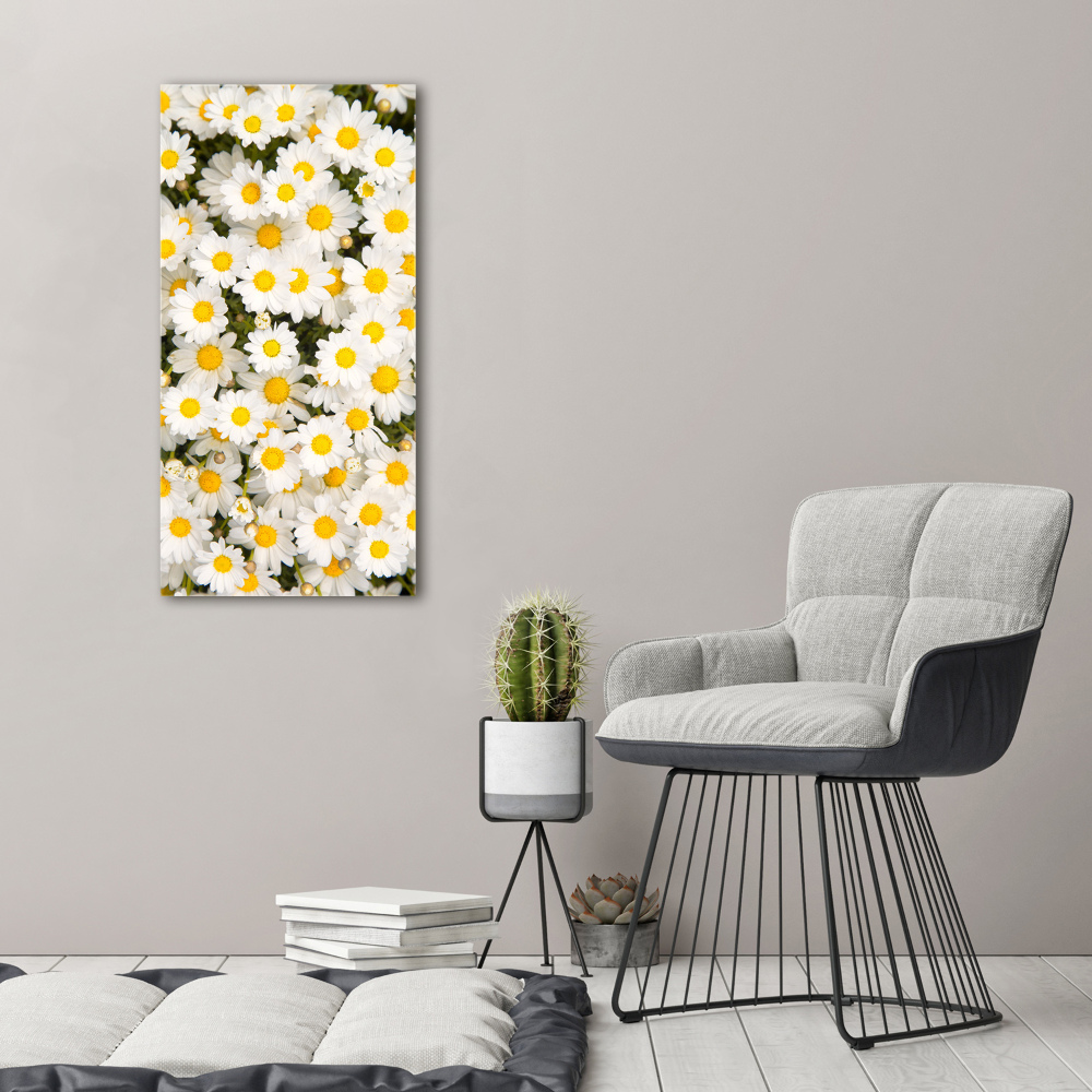 Tableau imprimé sur toile Fleurs de marguerite