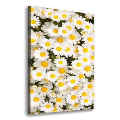 Tableau imprimé sur toile Fleurs de marguerite