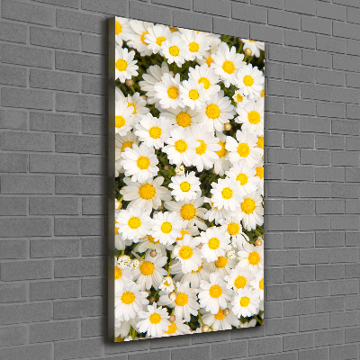 Tableau imprimé sur toile Fleurs de marguerite