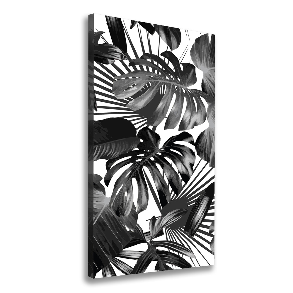 Tableau mural sur toile Feuilles exotiques