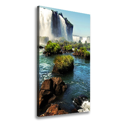 Tableau photo sur toile Chute d'eau d'Igazu