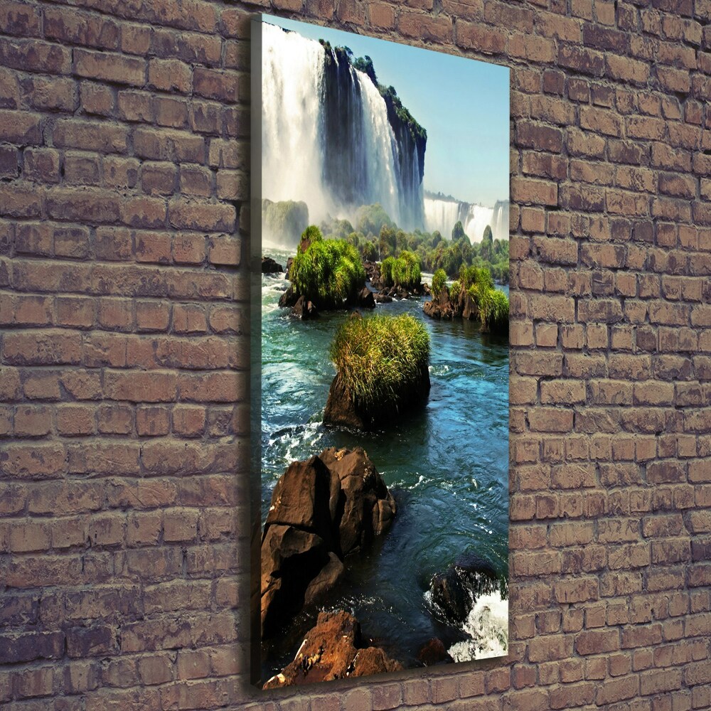 Tableau photo sur toile Chute d'eau d'Igazu