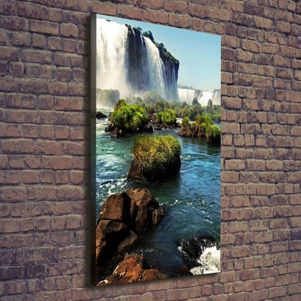 Tableau photo sur toile Chute d'eau d'Igazu