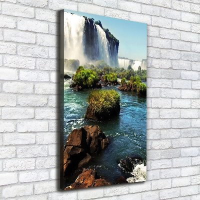 Tableau photo sur toile Chute d'eau d'Igazu