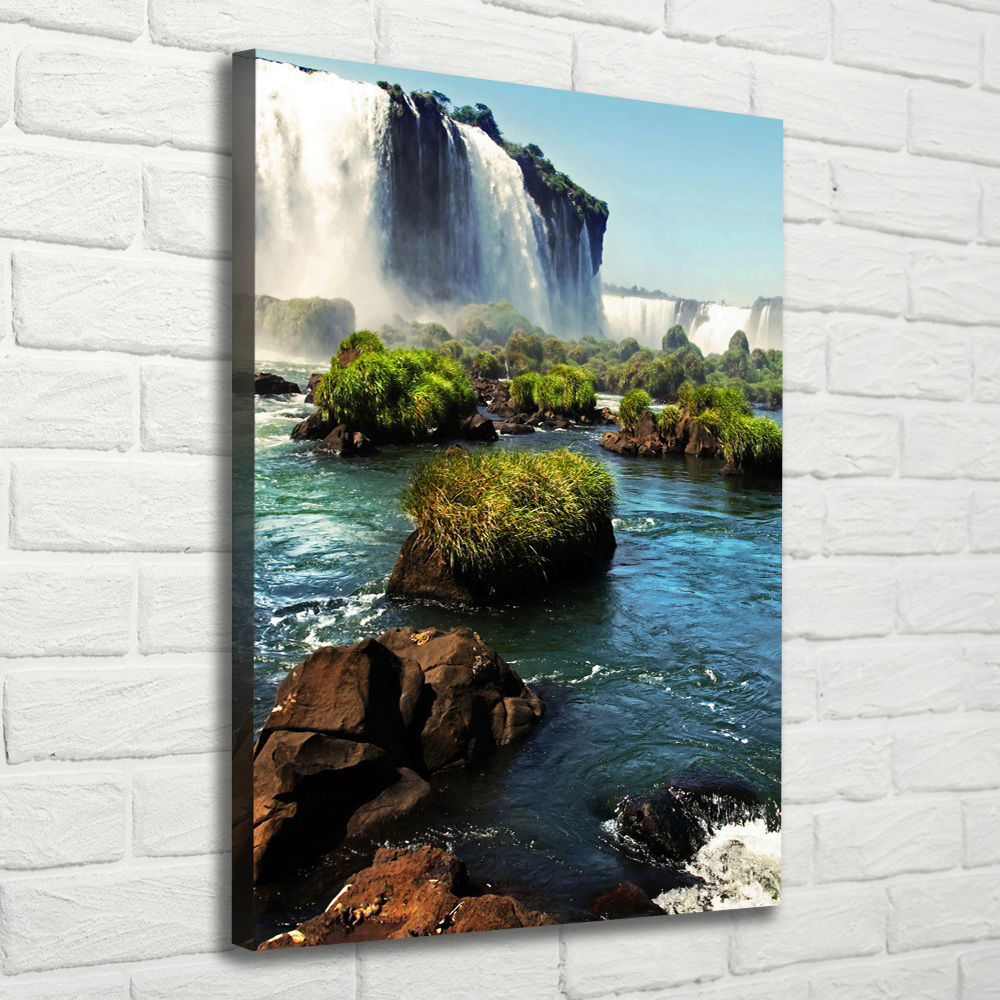 Tableau photo sur toile Chute d'eau d'Igazu