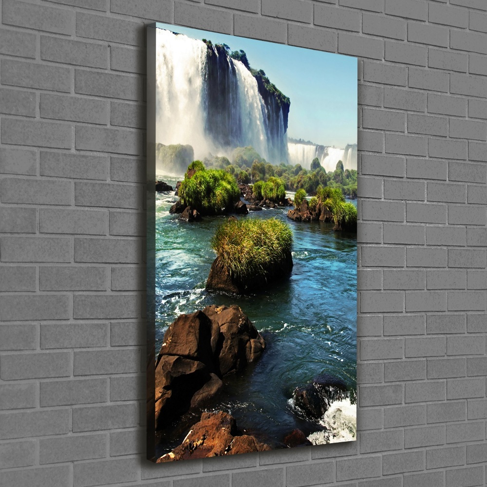 Tableau photo sur toile Chute d'eau d'Igazu