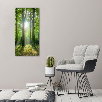 Tableau photo sur toile Coucher de soleil dans la forêt