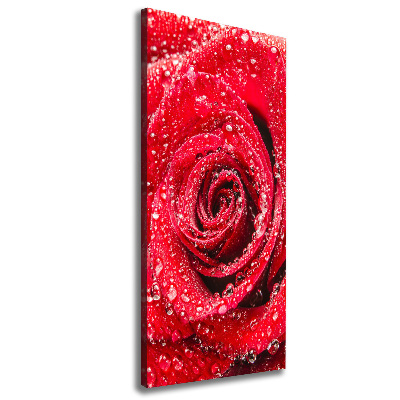 Tableau sur toile Rose rouge