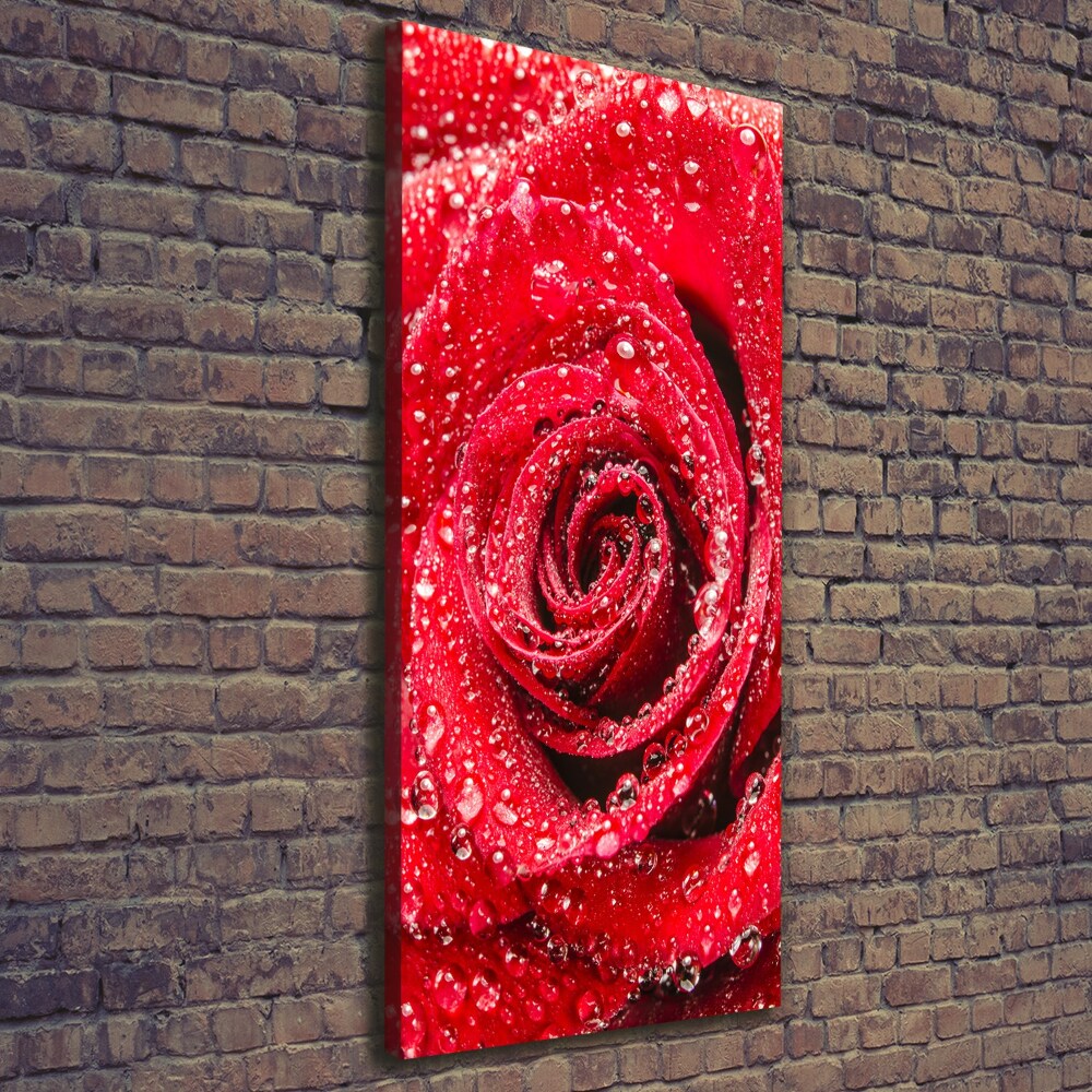 Tableau sur toile Rose rouge