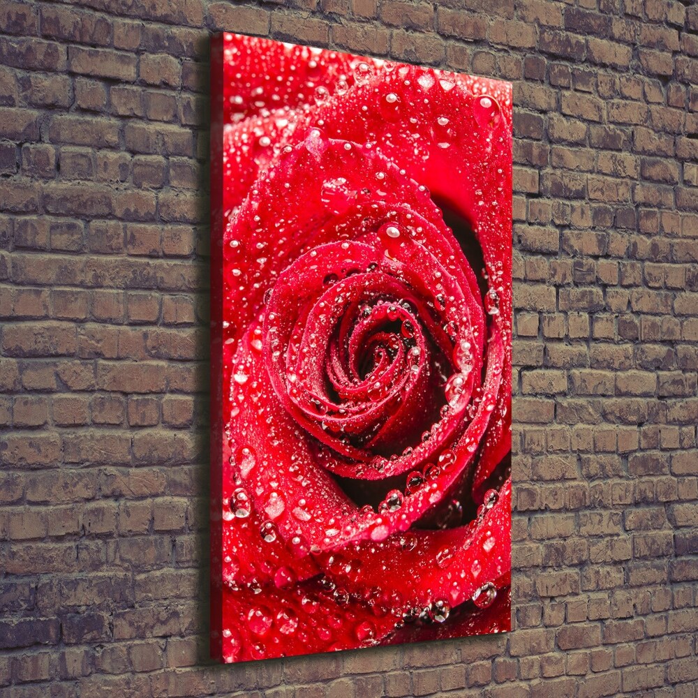 Tableau sur toile Rose rouge