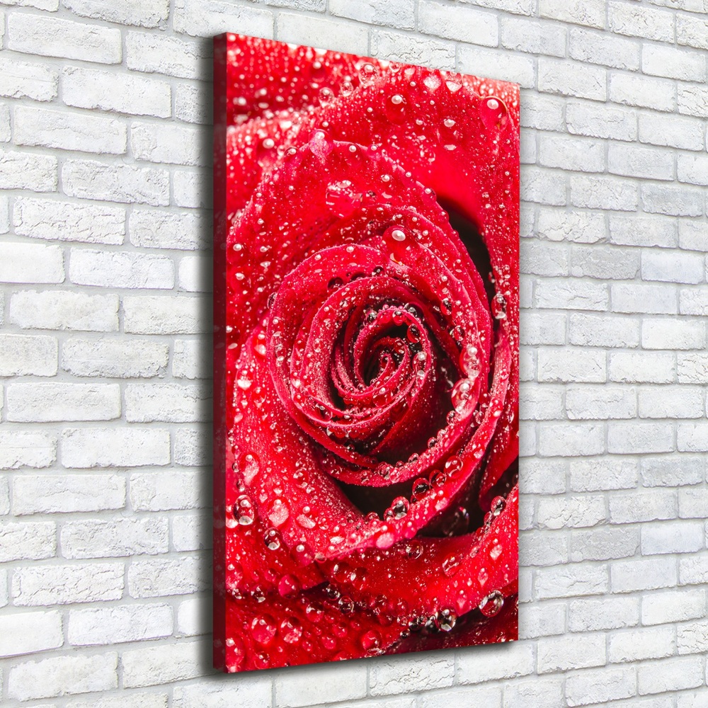 Tableau sur toile Rose rouge