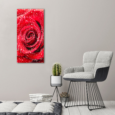 Tableau sur toile Rose rouge