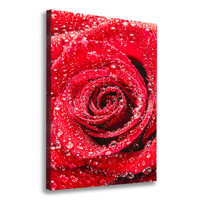 Tableau sur toile Rose rouge