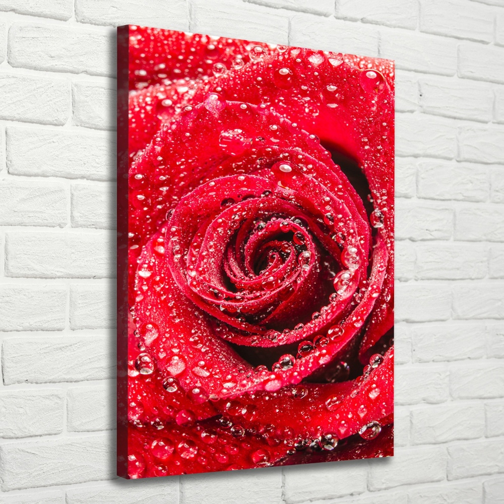 Tableau sur toile Rose rouge