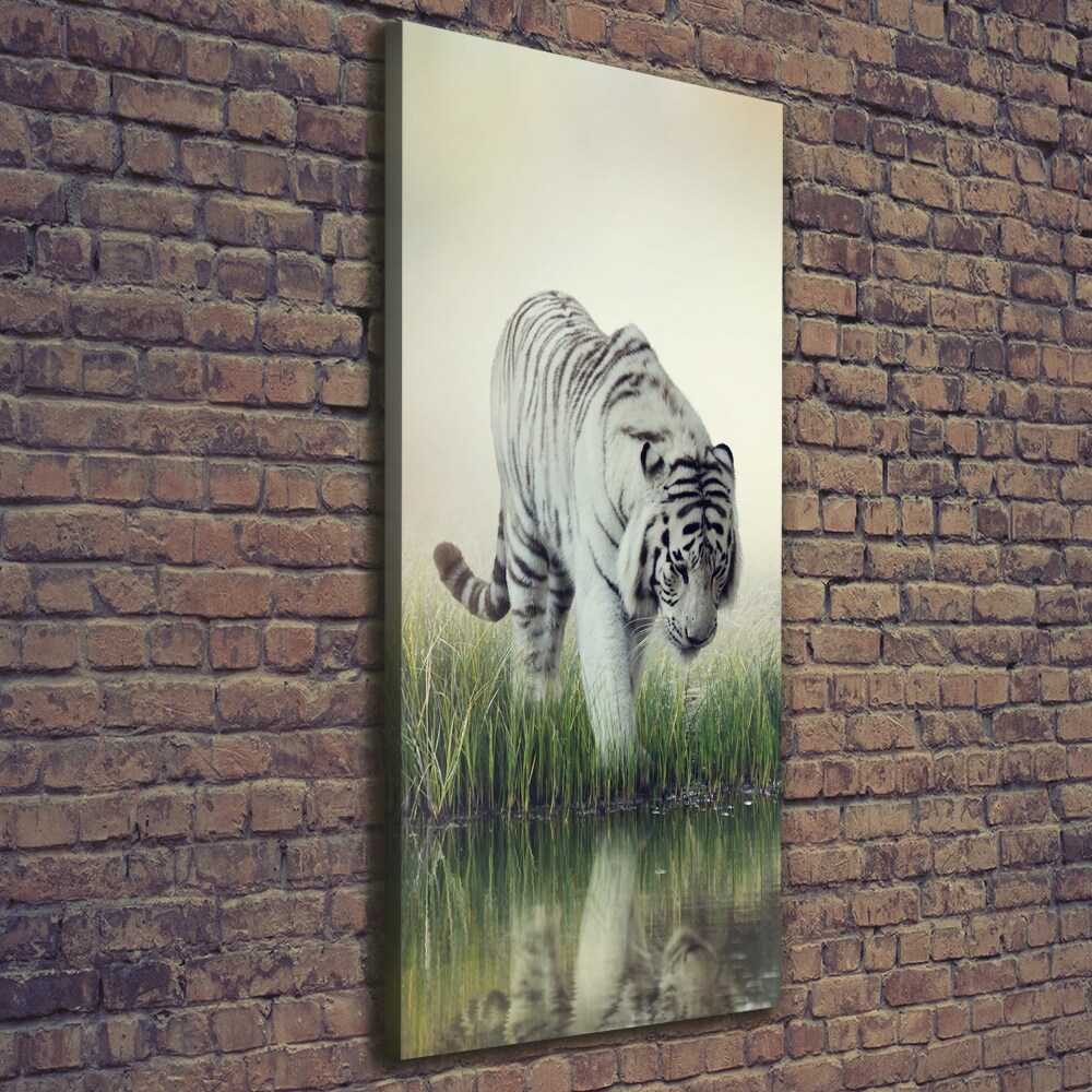 Tableau imprimé sur toile Tigre blanc