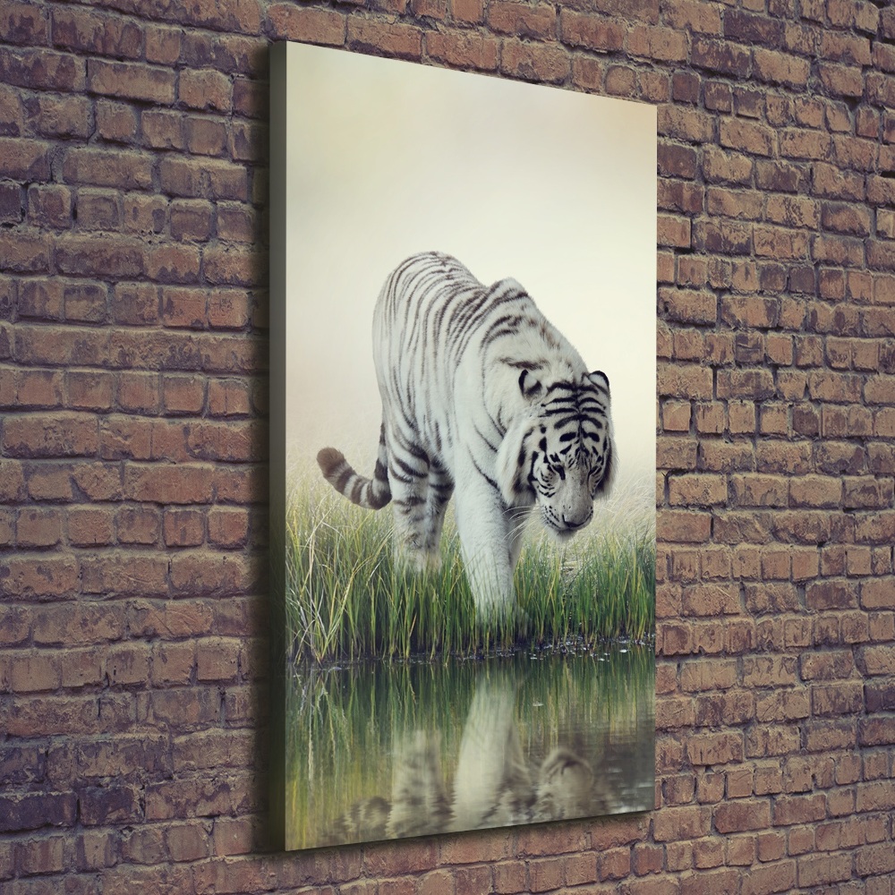 Tableau imprimé sur toile Tigre blanc