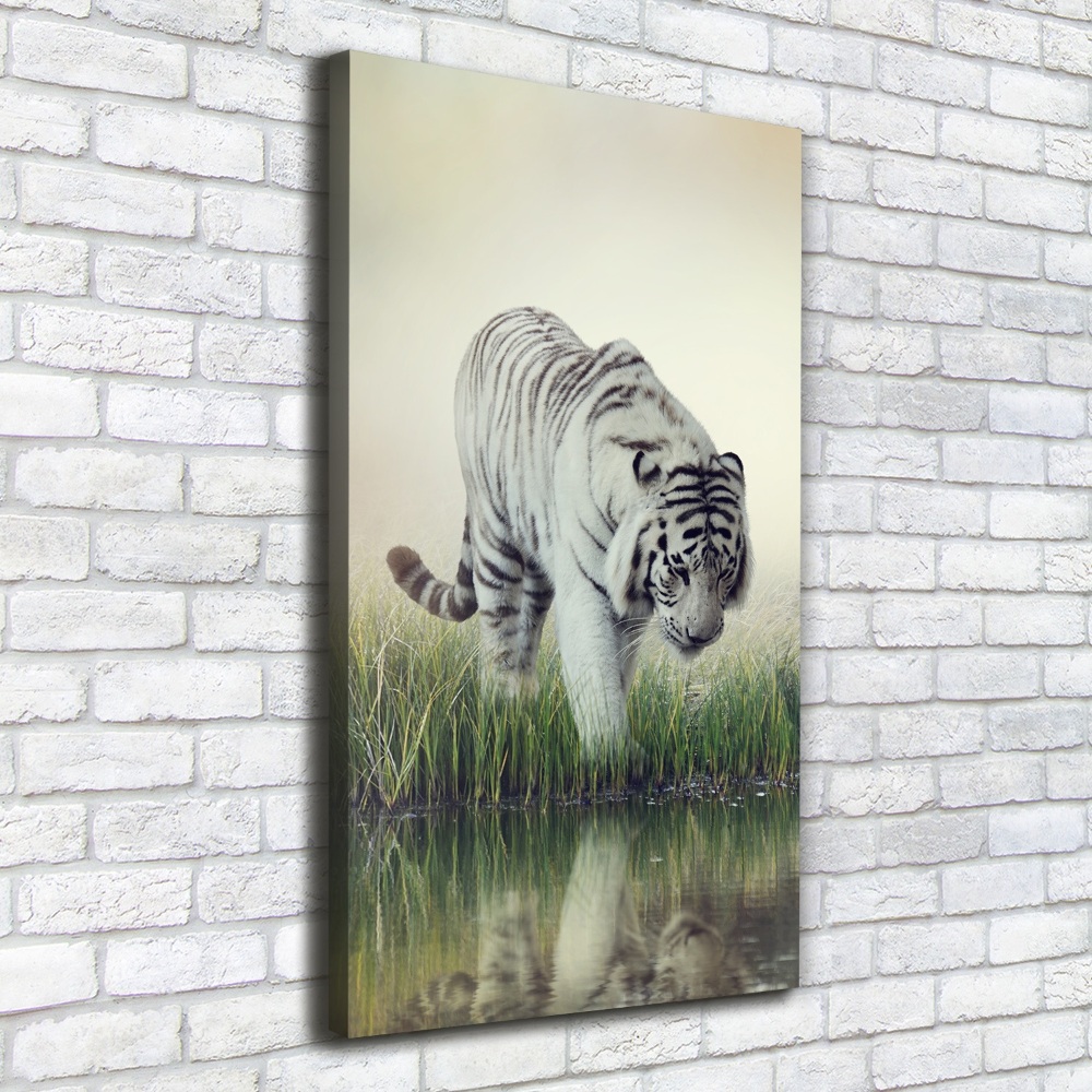 Tableau imprimé sur toile Tigre blanc