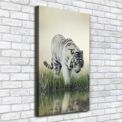 Tableau imprimé sur toile Tigre blanc