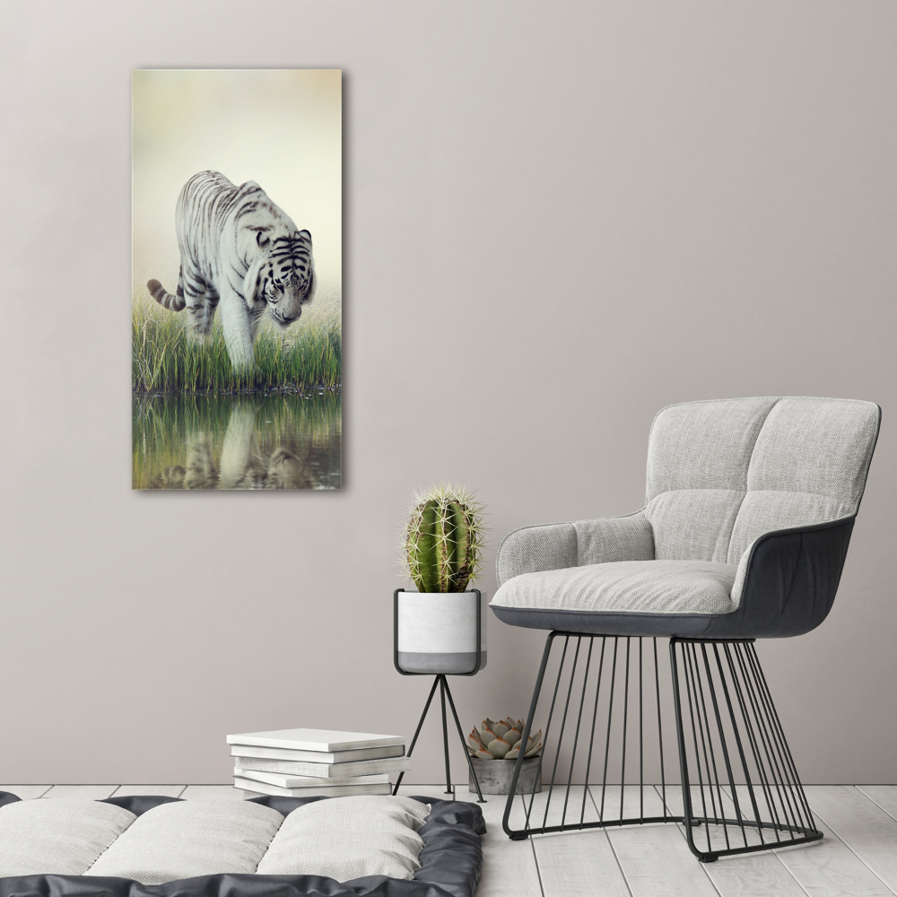 Tableau imprimé sur toile Tigre blanc