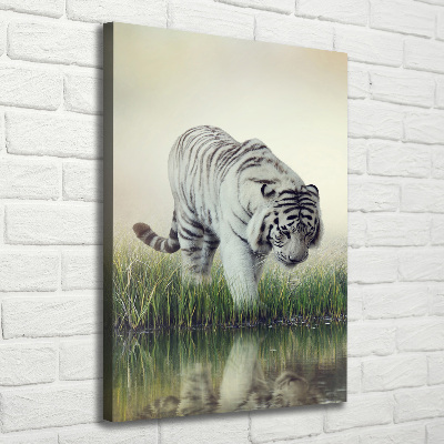 Tableau imprimé sur toile Tigre blanc