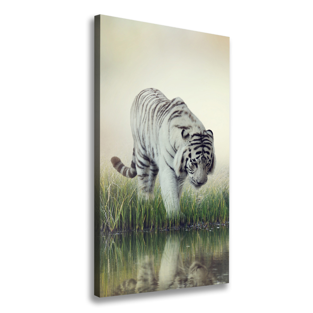 Tableau imprimé sur toile Tigre blanc