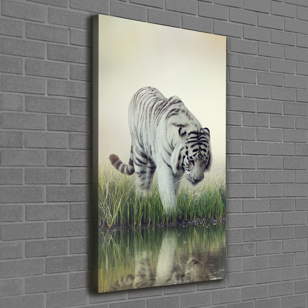 Tableau imprimé sur toile Tigre blanc