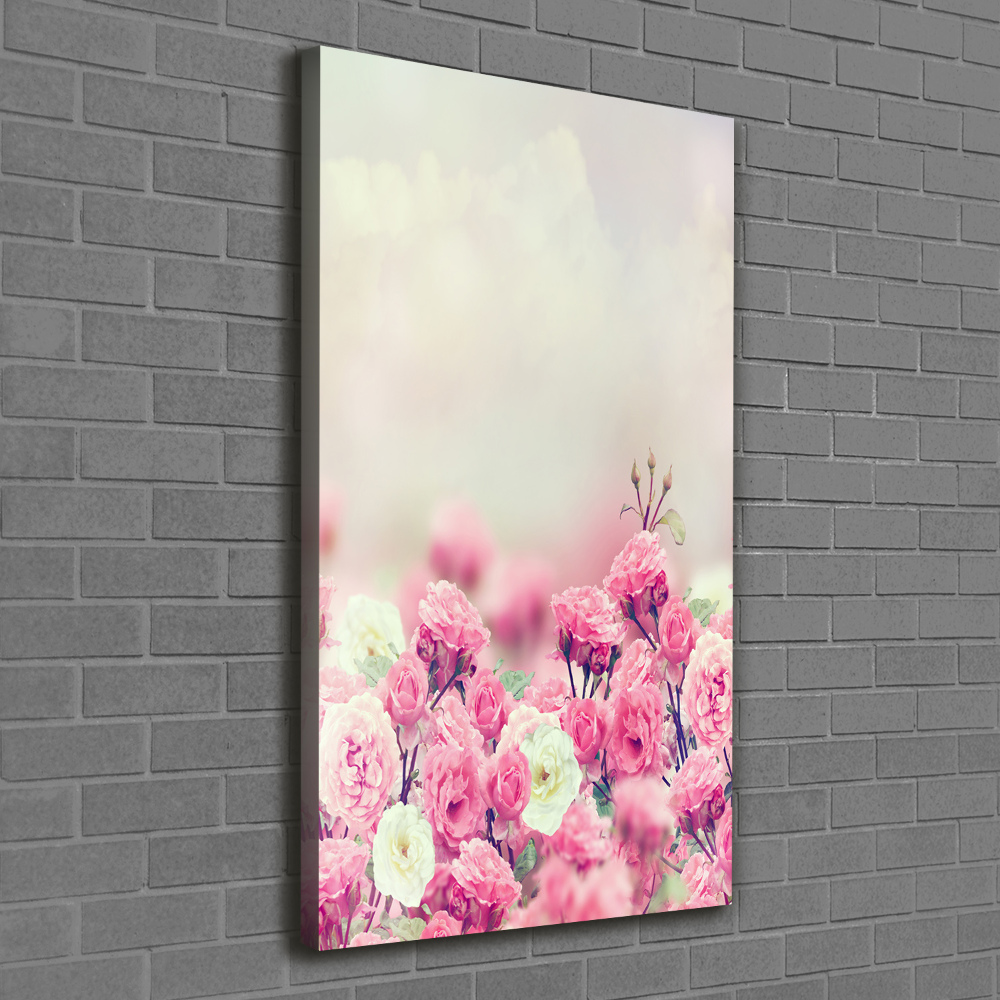 Tableau toile imprimée Rose sauvage