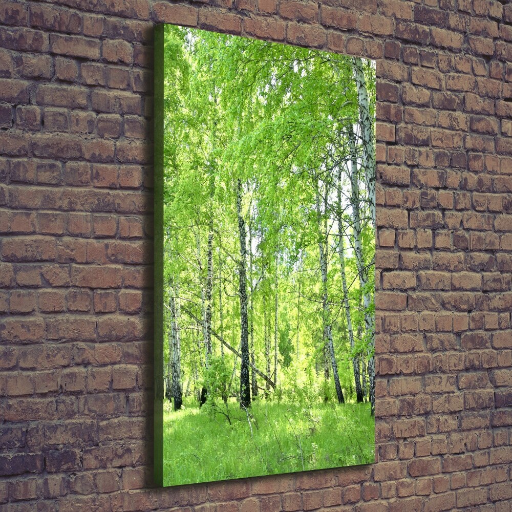 Tableau sur toile Forêt de bouleaux