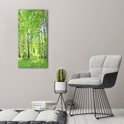 Tableau sur toile Forêt de bouleaux