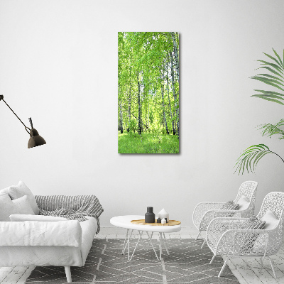 Tableau sur toile Forêt de bouleaux