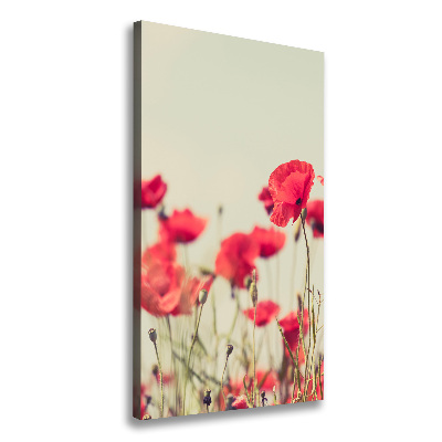 Tableau toile imprimée Coquelicots rouges