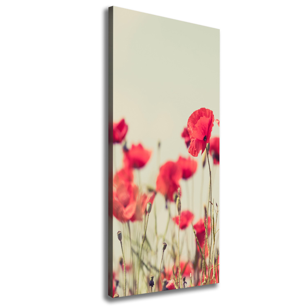 Tableau toile imprimée Coquelicots rouges