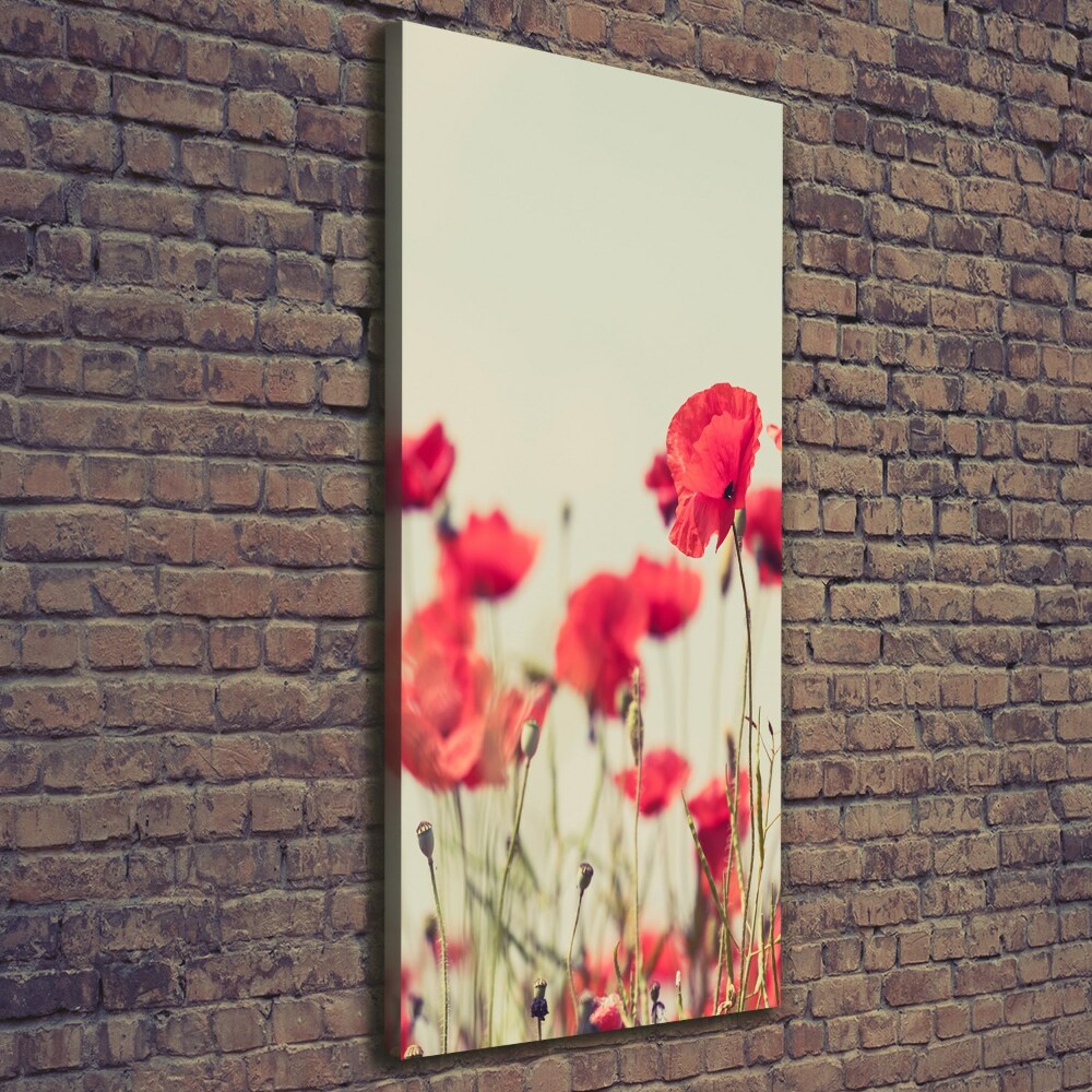 Tableau toile imprimée Coquelicots rouges