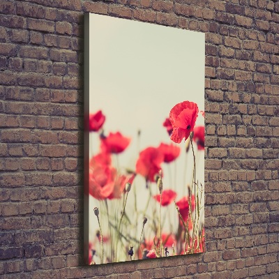 Tableau toile imprimée Coquelicots rouges