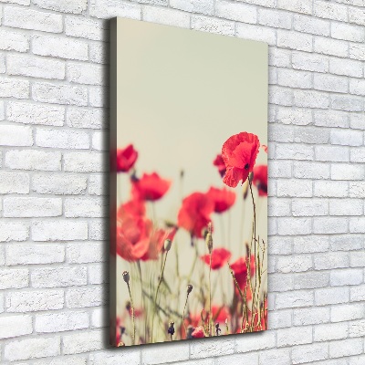 Tableau toile imprimée Coquelicots rouges