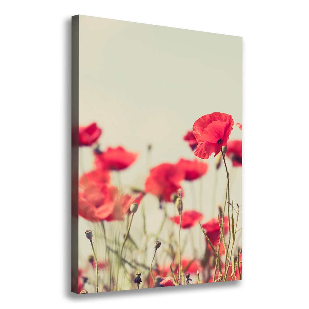 Tableau toile imprimée Coquelicots rouges