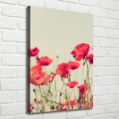 Tableau toile imprimée Coquelicots rouges