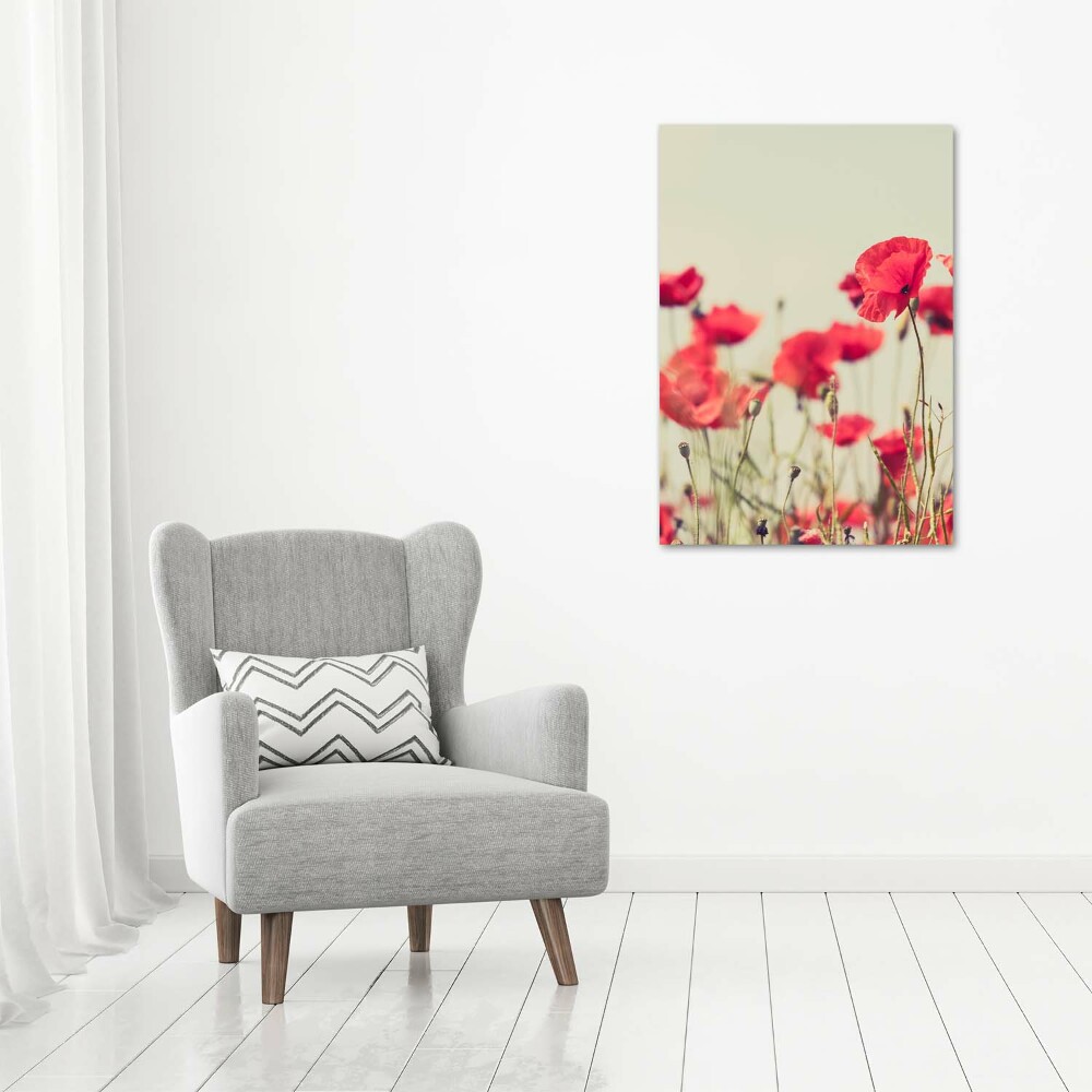 Tableau toile imprimée Coquelicots rouges