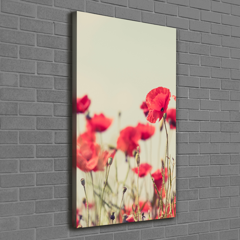 Tableau toile imprimée Coquelicots rouges