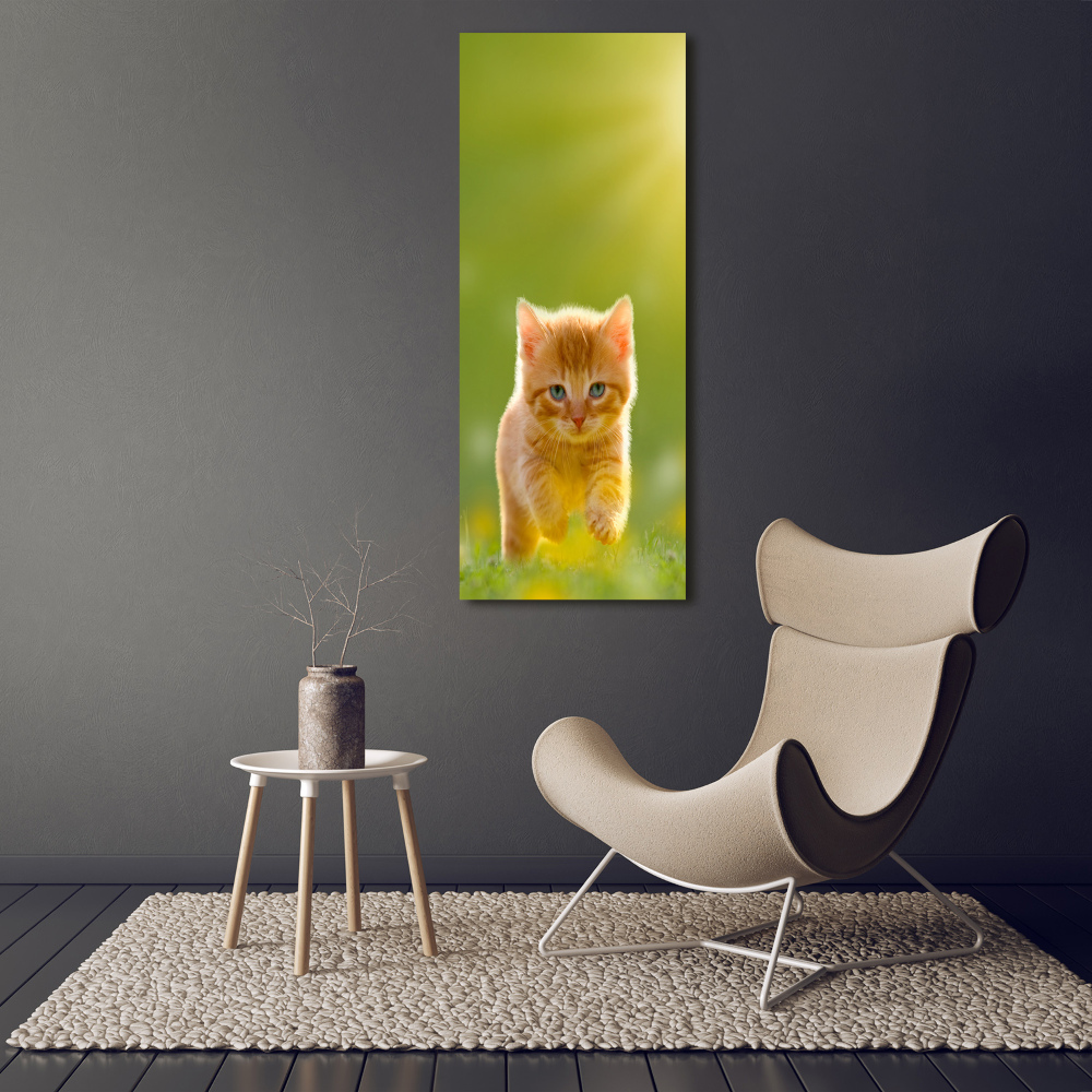 Tableau sur toile Chat rouge