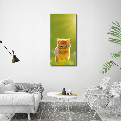 Tableau sur toile Chat rouge