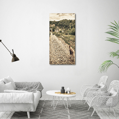 Tableau sur toile Deux chiens de montagne