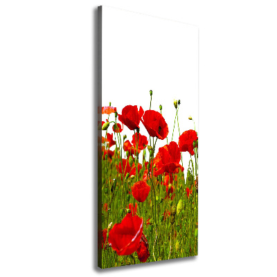 Tableau mural sur toile Champ de coquelicots