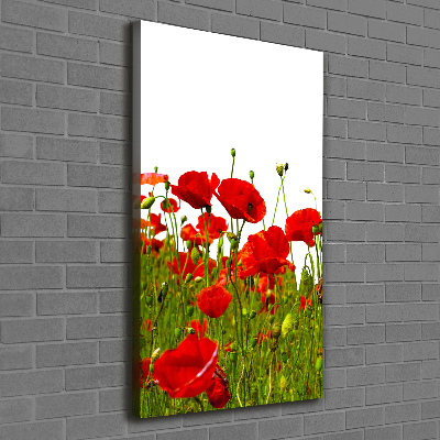 Tableau mural sur toile Champ de coquelicots