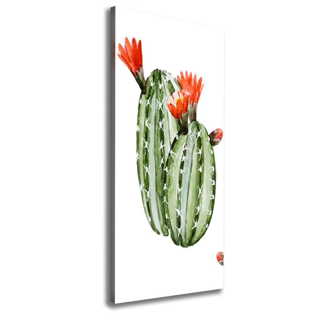 Tableau imprimé sur toile Cactus