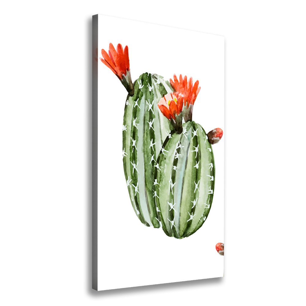 Tableau imprimé sur toile Cactus